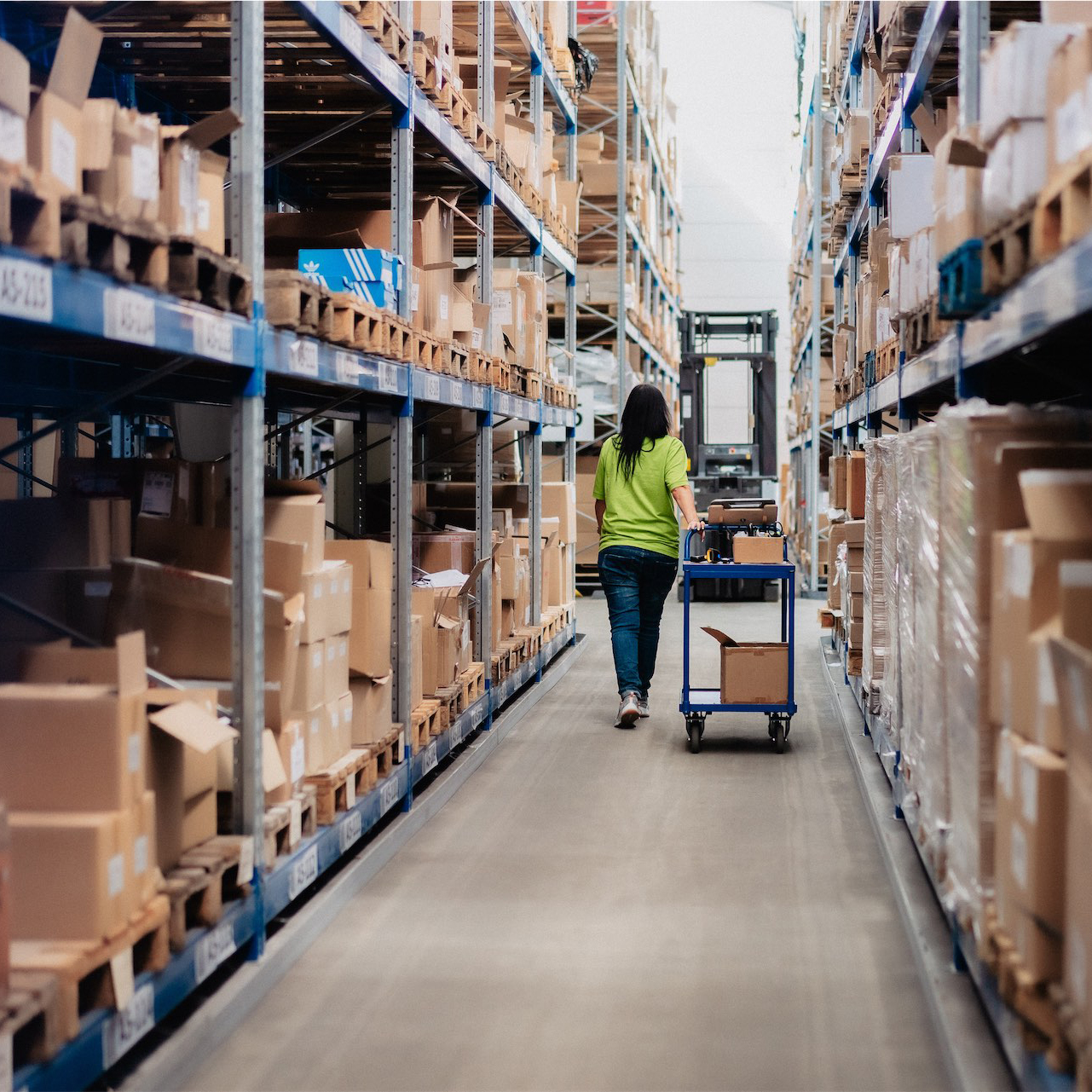 DominikLenz_0017_00762